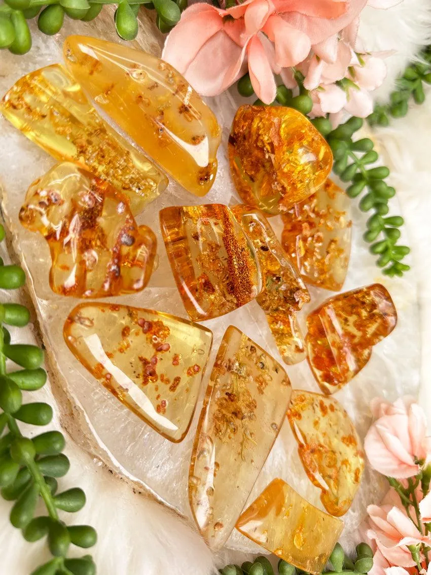 Colombian Amber with Insects